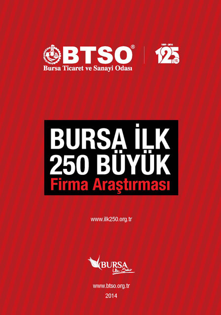 2013 Yl lk 250 Byk Firma Aratrmas